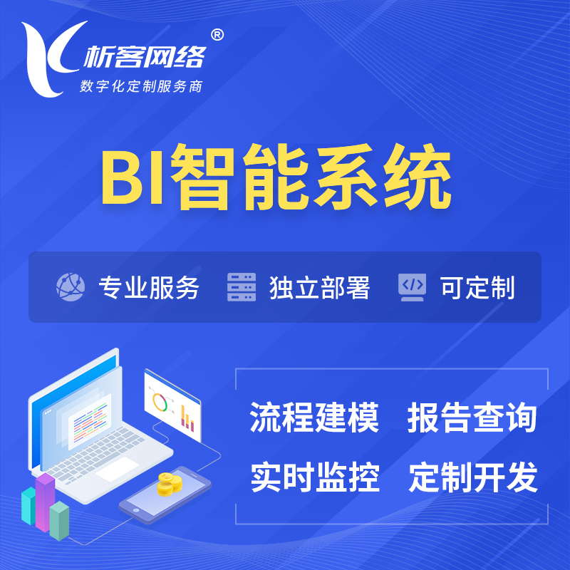 阿坝藏族羌族BI智能系统 | BI数据可视化